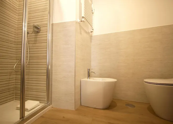 Color Vibes - Cipro Rome