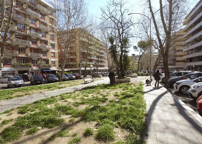 Color Vibes - Cipro * Rome